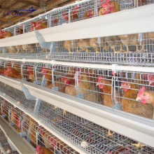 Leon series battery cage breeding system broiler and layer cage
